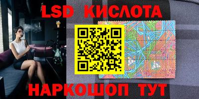 прущие грибы Тверь