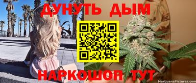 прущие грибы Тверь