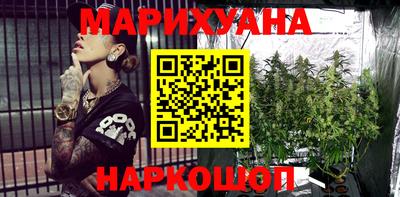 прущие грибы Тверь