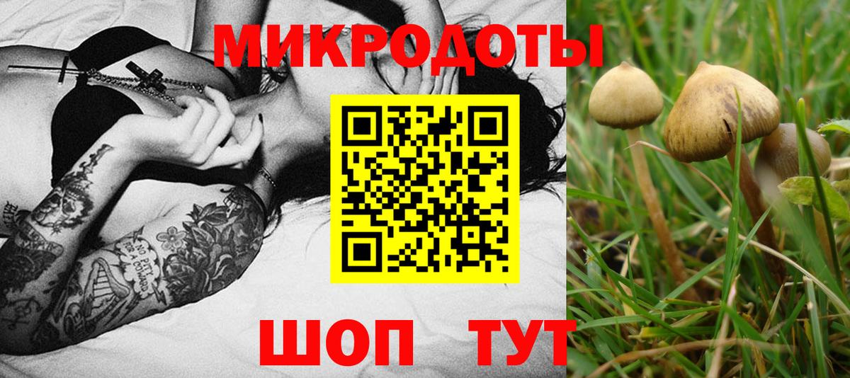 Псилоцибиновые грибы GOLDEN TEACHER  Вход с VPN  Псилоцибиновые грибы мицелий  Павлово 