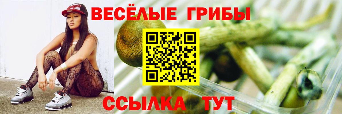 Псилоцибиновые грибы MAGIC MUSHROOMS Павлово